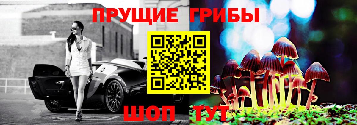 где купить   Галлюциногенные грибы MAGIC MUSHROOMS  Вход с VPN  Краснокамск 